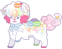 [C] Colourful macarons