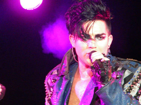 The Glambert