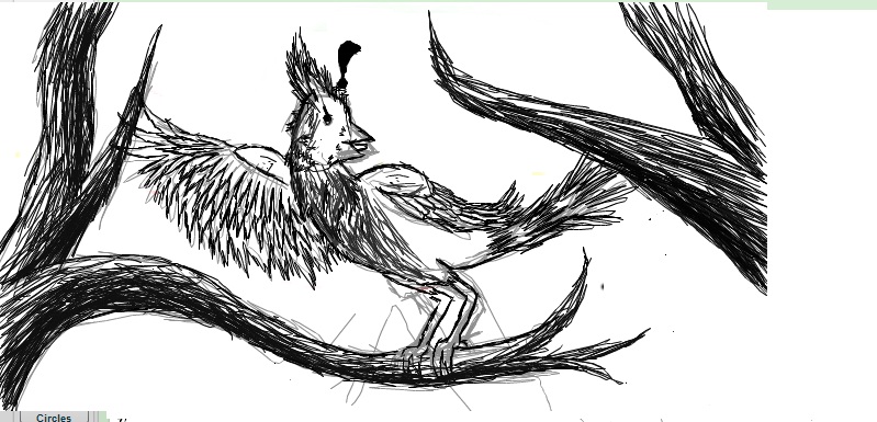 bird sketch