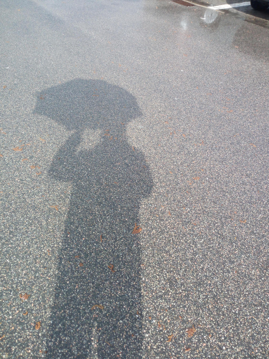 Shadow in the Rain by Daniel3443 on DeviantArt