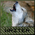 Icon for writer-of-words by Daking9