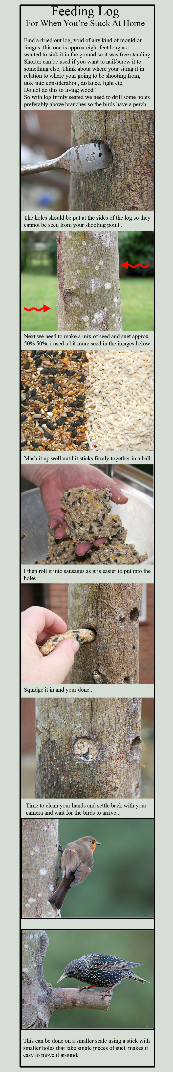 Bird Feeding Log Tutorial