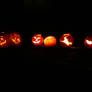 Pumpkins 2011