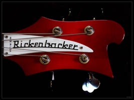 Rickenbacker Head