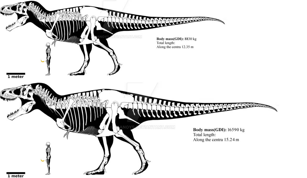 Tyrannosaurus rex and Vastatosaurus rex size by mark0731 on DeviantArt