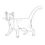 Realistic cat lineart