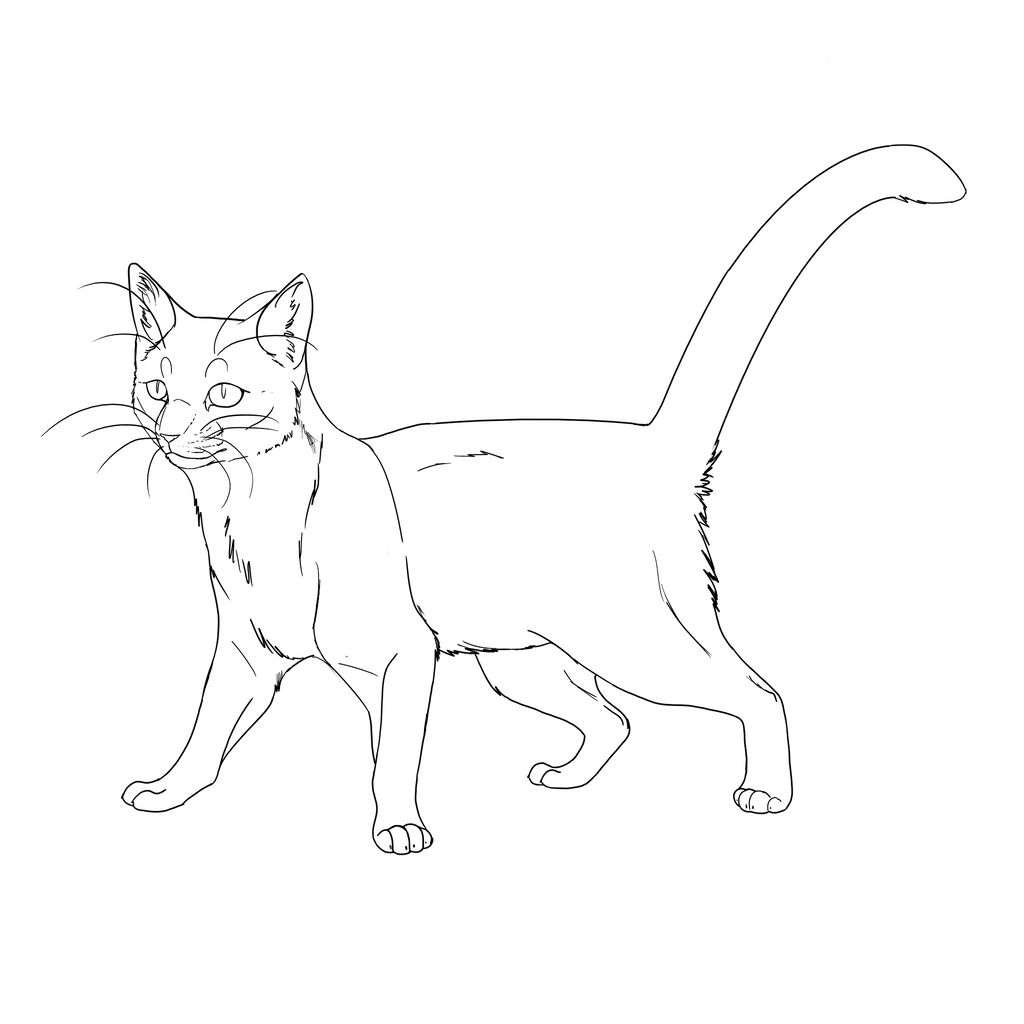 Realistic Cat Lineart By Tigerflamey0 On DeviantArt realistic-cat-lineart-by-tigerflamey0-on-deviantart