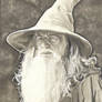 Gandalf the Grey - Full Beard