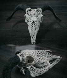 Carved Sheep Skull, The sun sets in reverse