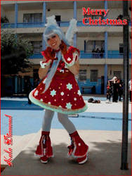 Xmas Kula