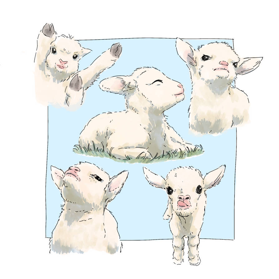 Deviantart Carousel Sheep sheep doodles by julihk on DeviantArt