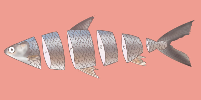Sunder Fish Tsundere/Naturalist Fish by birdock on DeviantArt