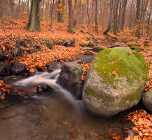 Autumn River