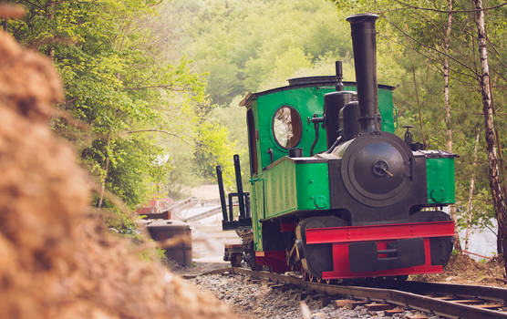 Narrow gauge steam train