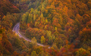 Road to Autumn by ferrohanc