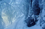 Cold Morning III by ferrohanc