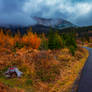 Autumn Road