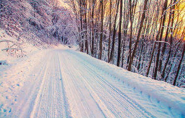 Winter Road