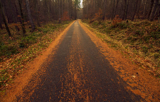 Forest Road