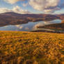 Autumn View