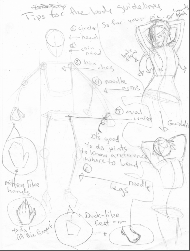 Guidelines Body Body guidelines by BokuMaruKaiteChikyuu on DeviantArt