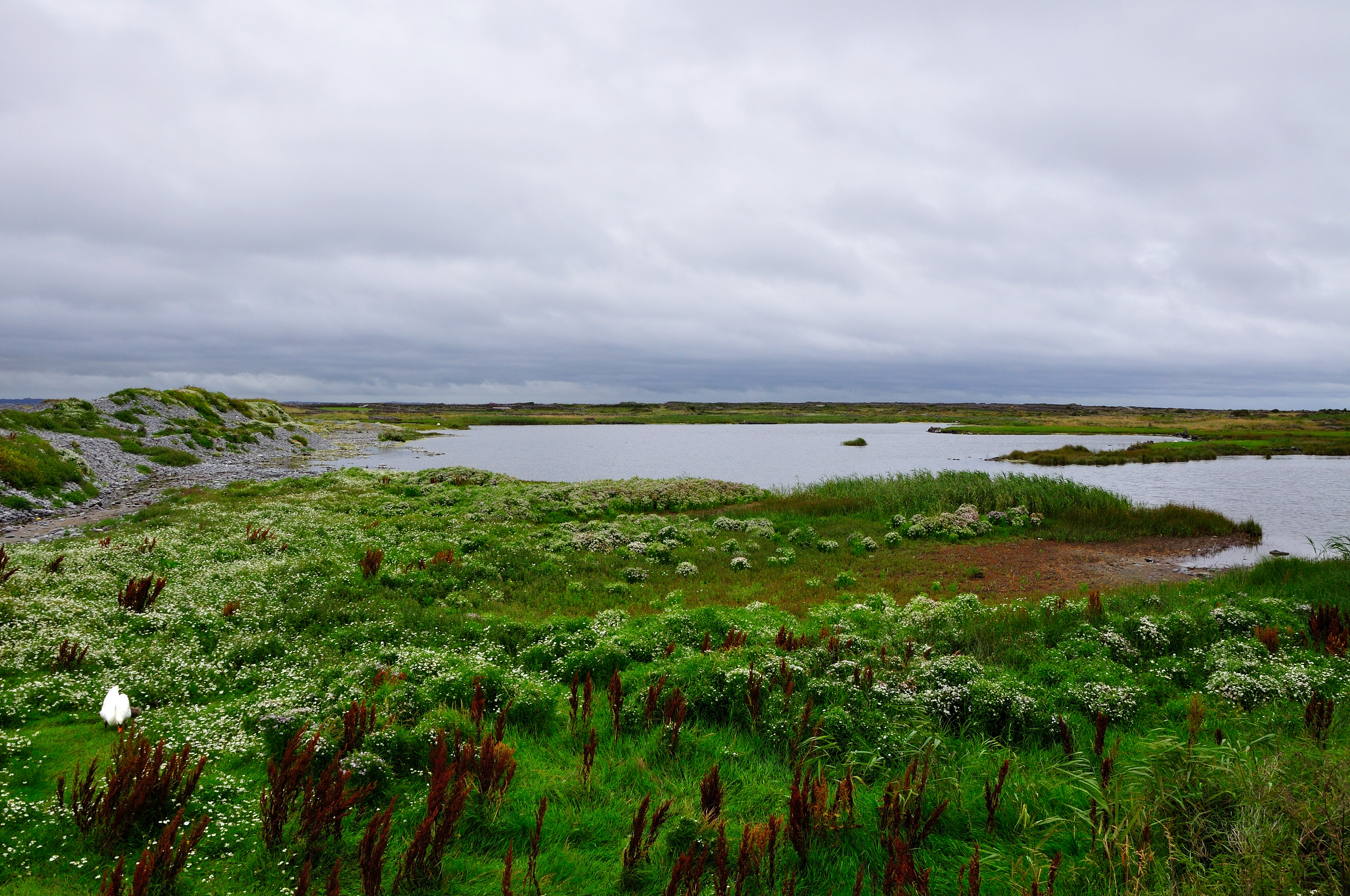 On Inishmore