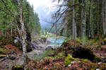 Woods in Fusine by dcheeky