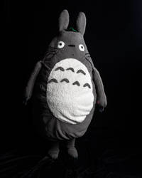 Totoro Cosplay 2018 Hal-con