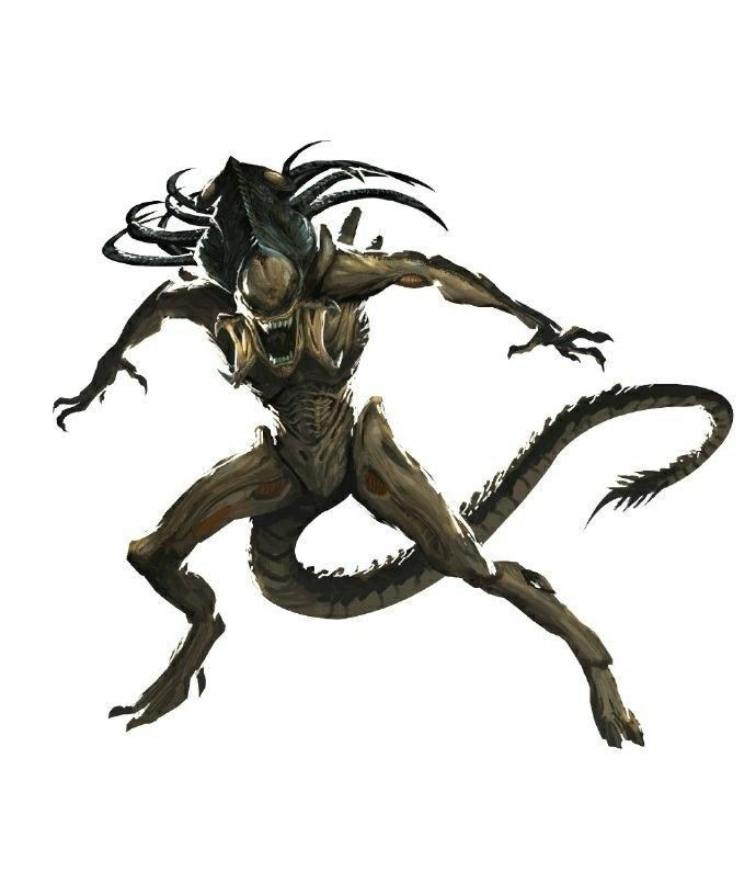 Predalien AvP2 by Cellbuzer on DeviantArt
