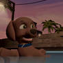 Wanna Swim, Rocky?