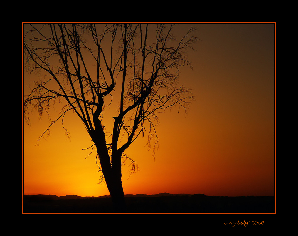 Desert at Dusk