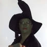 Me as Elphaba For Halloween