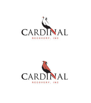 Cardinal Recovery Identity