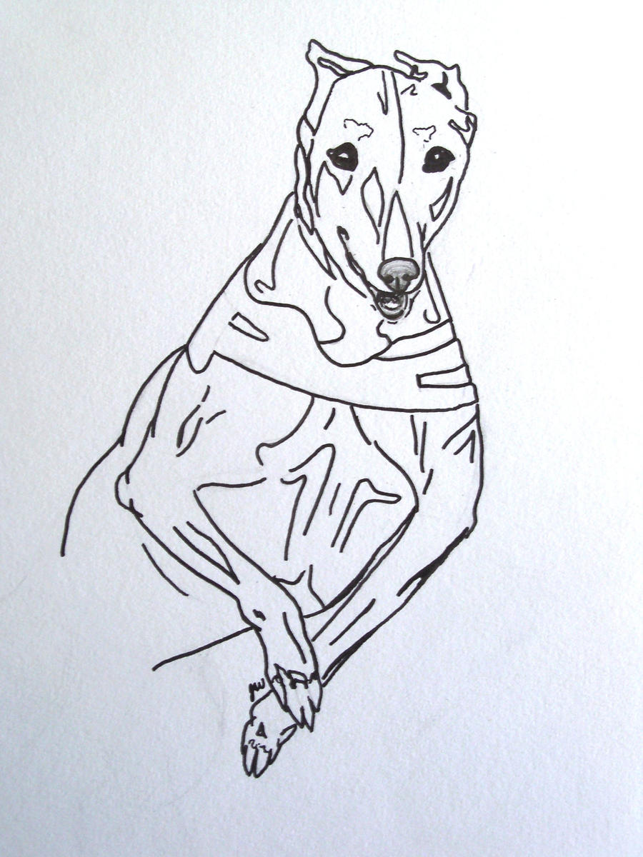 Greyhound Line Drawing