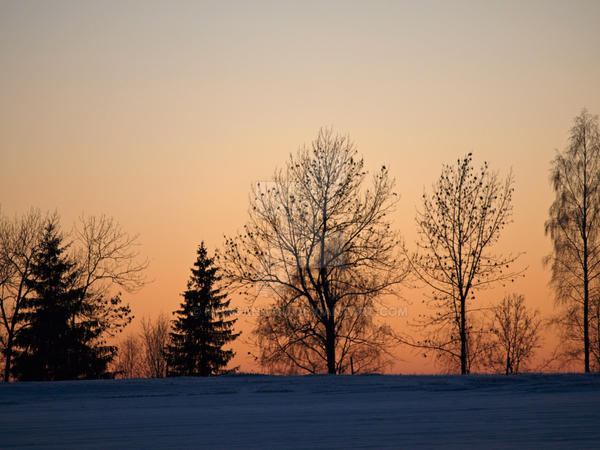 Along the wintry skyline