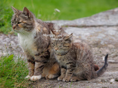 Mother and daughter