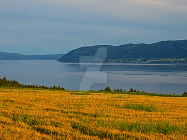 Among the fields of barley