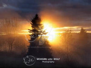 Let there be more light by Morgan-Lou Let there be more light by Morgan-Lou