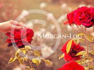 A la recherche du temps perdu by Morgan-Lou A la recherche du temps perdu by Morgan-Lou