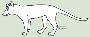 Thylacine line art (FREE)