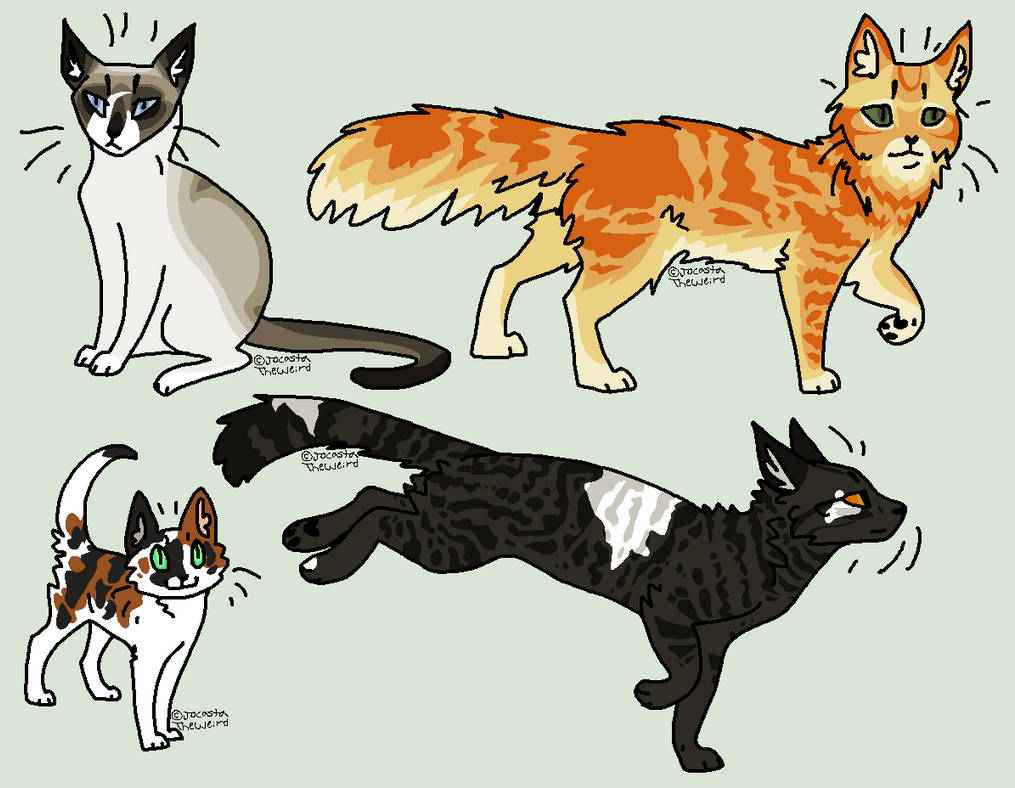 Lifegen Custom Cat Design Realistic cat designs (TAKEN) by homeqrown on DeviantArt