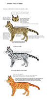 Non-Hybridized Tabby Patterns Chart - (Wild)cat by MrBig2 on DeviantArt