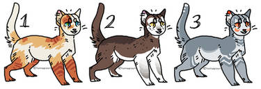 cat designs (CLOSED)