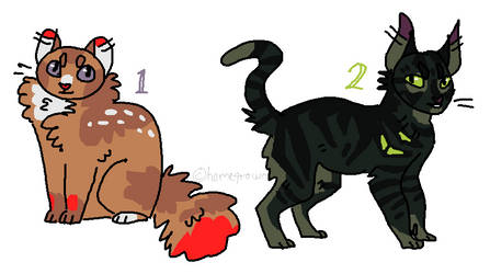 quick cat adopts (CLOSED)