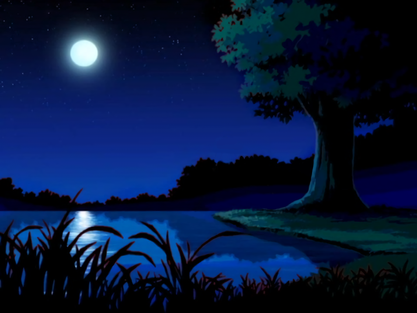 Sonic X Background 10