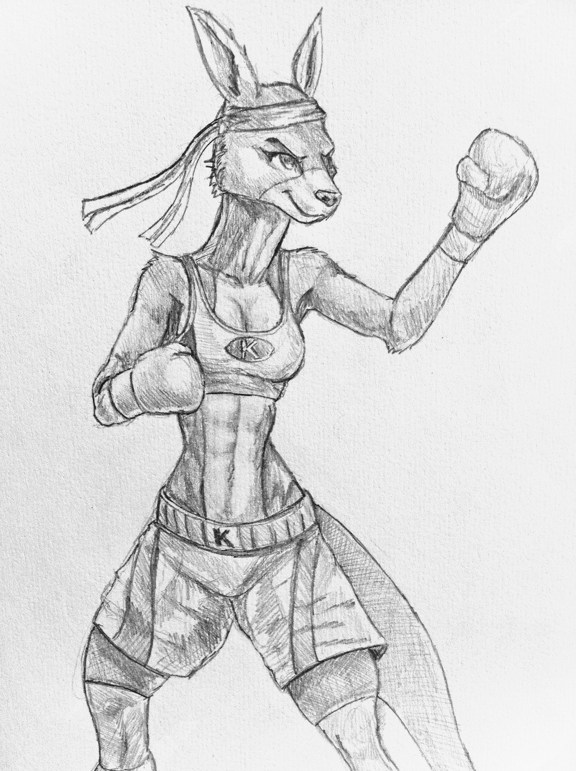 Boxing Kangaroo