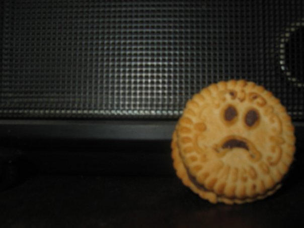 The Sad Rasco by Hodica on DeviantArt