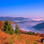 Discover Bukovina