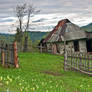 Hut of Bukovina