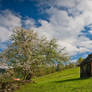 Hut of Bukovina 2